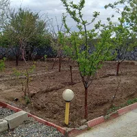 خدمات باغبانی در منطقه صوفیان و شبستر|خدمات باغبانی و درختکاری|تبریز, |دیوار