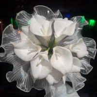 گل شیپوری عروس