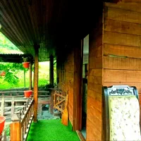 رزرو کلبه چوبی ویلا جنگلی مازندران سوادکوه لفور|اجارهٔ کوتاه‌مدت ویلا و باغ|آلاشت, |دیوار