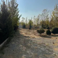 باغ ۲ کله ۳ بحر ۱۰۰۰ متر تهراندشت تخفیف دار|فروش دفتر صنعتی، کشاورزی، تجاری|کرج, فاز ۱ مهرشهر|دیوار