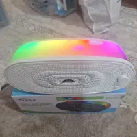 انواع اسپیکر|پخشکننده همراه|اندیمشک, |دیوار