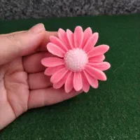 قالب سیلیکونی