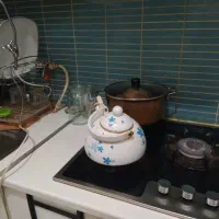 نظافتچی خانم جوان