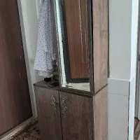 جاکفشی ،مبزچرخ ،میزاتوپریزدار