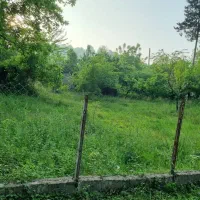 فروش زمین در لفور|فروش زمین و ملک کلنگی|آلاشت, |دیوار