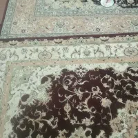 دو عدد فرش|فرش|مشگین شهر, |دیوار