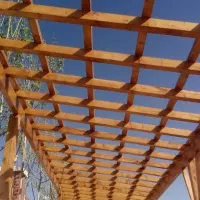 چوب داربند انگور وداربست وچوبفروشی