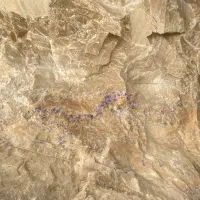 تامین و پخش خرده و عمده نمک آبی، صورتی و دلنمک|خوردنی و آشامیدنی|اصفهان, سپاهان‌شهر|دیوار