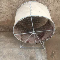 تردمیل خروس