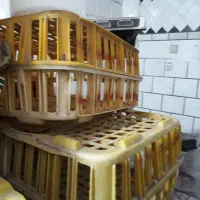 مغازه مرغ زنده