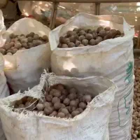 گردو محلی لرستان|خوردنی و آشامیدنی|یزد, |دیوار