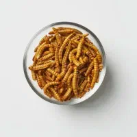 میلورم زنده