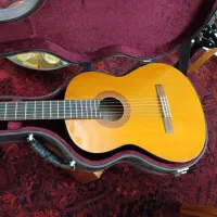 گیتار c40 یاماها اصلی خوشصدا نو نو آموزش|گیتار، بیس، امپلیفایر|مشهد, گلبرگ|دیوار