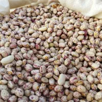 لوبیا چیتی درجه یک زنجان|خوردنی و آشامیدنی|تهران, مشیریه|دیوار