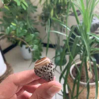 انگشتر بابا قوری سه پوست