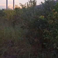 دزفول|فروش زمین و ملک کلنگی|کرخه, |دیوار