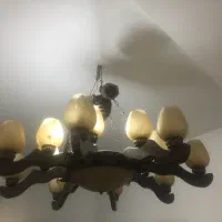 لوسترچوبی برندمنجی