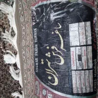 ۴عدد۶متریدرحدنوهستن|فرش|اردبیل, |دیوار