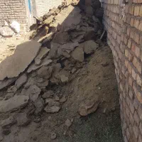 کود گوسفندی