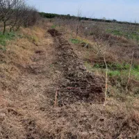 فروش یک قطعه زمین کشاورزی در روستای دازمیرکنده