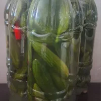 خیارشور خانگی