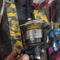 شیبان شهرک بهشتی خیابان صادق 3|ماهیگیری|باوی, |دیوار