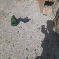 کبوتر تهرونی و دم چتری .گل پنبه‌ای|پرنده|اصفهان, دارک|دیوار