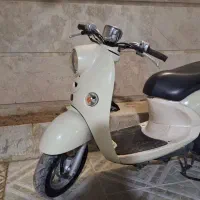 پاکشتی وینو