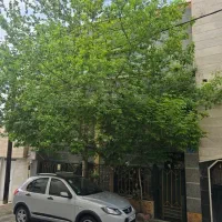 خانه-ویلایی-سوهانک-280-متر-زیر-بنا-3خواب