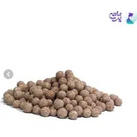 اکواریوم ماهیران|ماهی|اصفهان, گلستان|دیوار