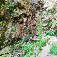 راهنمایی طبیعت