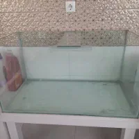 اکواریوم