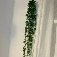 ریسه شمشاد 14 شاخه