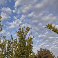 معاوضه اپارتمان با ویلایی