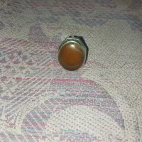 هفت عدد انگشترای کهنه وبکر|کلکسیون اشیاء عتیقه|قدس, شهر‌قدس|دیوار