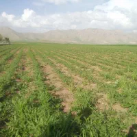 زمین کشاورزی