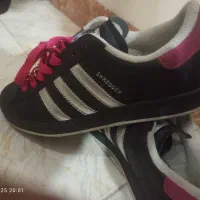 کتونی سوپر استار|کیف، کفش، کمربند|ری, شهادت|دیوار