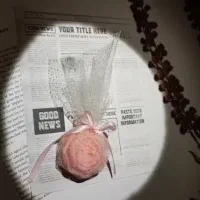 گیفت عروسی و جشن|خدمات پذیرایی، مراسم|شوشتر, |دیوار