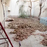 کوددهی باغبانی ابیاری|خدمات باغبانی و درختکاری|قیدار, |دیوار