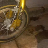 دوعدد دوچرخه|اسباب‌بازی بچه|شیراز, حافظیه|دیوار