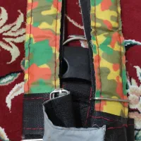 قلاده اسپورت  سگ خانگی