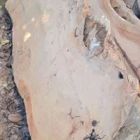 میز و کالای چوبی طبیعی جنگلی|میز و صندلی غذاخوری|ساری, |دیوار