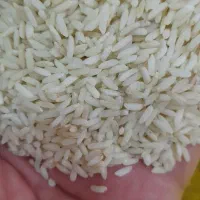 برنج عنبربو معطر اعلاء به قیمت عمده زیر قیمت