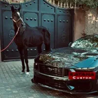 دوره آموزش حرفه‌ای دیتیلینگ خودرو در فن کار خودرو|خدمات آموزشی|شیراز, قدوسی غربی|دیوار