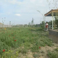 فروش-باغ