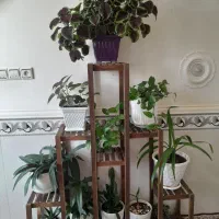 استندگل رگال لباس جاکفشی|صنایع دستی و سایر لوازم تزئینی|فامنین, |دیوار