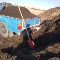 کودخشک پوسیده|عمدهفروشی|هشتگرد, شهرک سهیلیه|دیوار