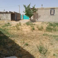 اجاره خانه ویلایی ۱۲۰متر ی|اجارهٔ خانه و ویلا|باغ حلی, |دیوار