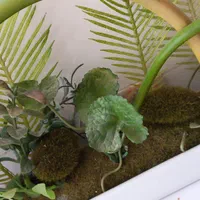 گل پایه سرامیکی بسیار  شیک|گل مصنوعی|ایلام, |دیوار