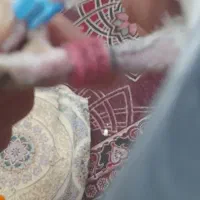 کبوتر پلاکی عراق|پرنده|کارون, |دیوار